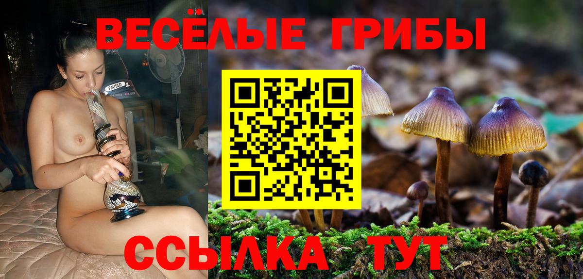 Галлюциногенные грибы Magic Shrooms Ртищево